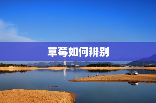 草莓如何辨别