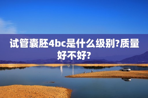 试管囊胚4bc是什么级别?质量好不好?