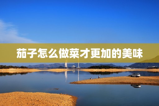 茄子怎么做菜才更加的美味