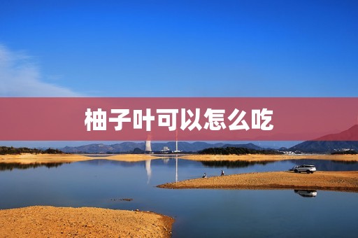 柚子叶可以怎么吃
