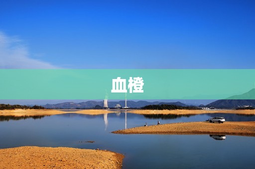 血橙