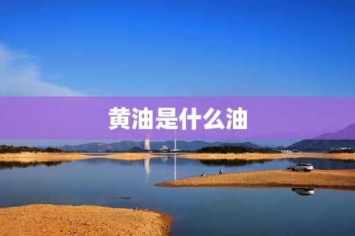黄油是什么油