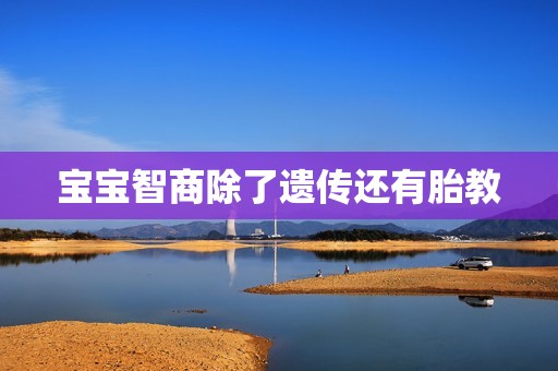宝宝智商除了遗传还有胎教