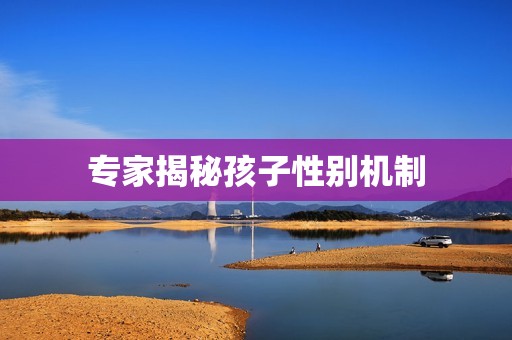 专家揭秘孩子性别机制