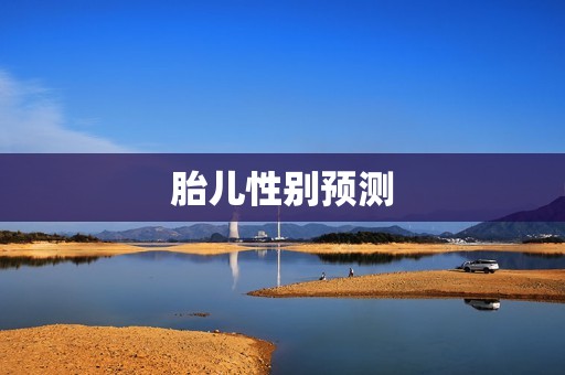 胎儿性别预测