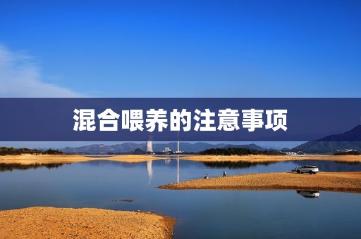 混合喂养的注意事项