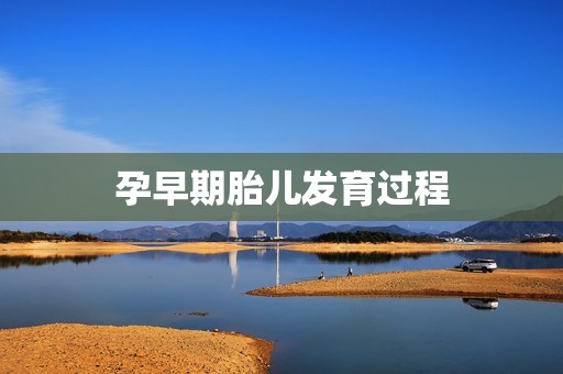 孕早期胎儿发育过程