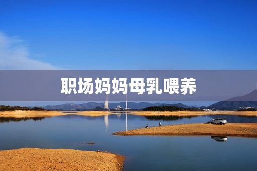 职场妈妈母乳喂养
