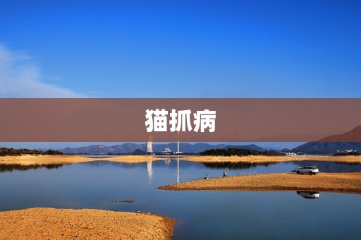 猫抓病