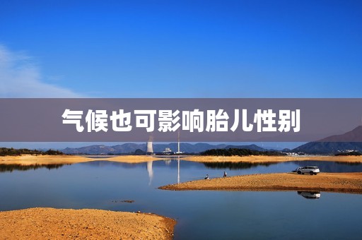 气候也可影响胎儿性别
