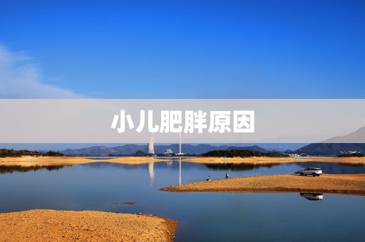 小儿肥胖原因