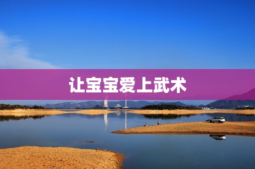 让宝宝爱上武术