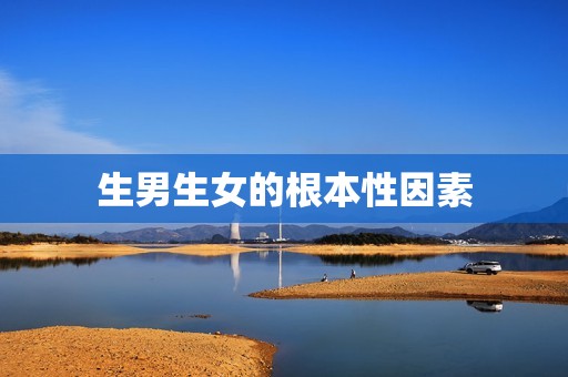 生男生女的根本性因素