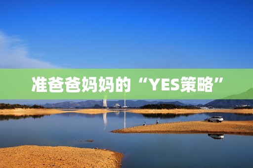 准爸爸妈妈的“YES策略”