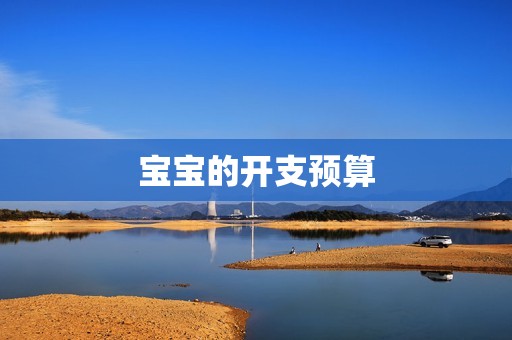 宝宝的开支预算