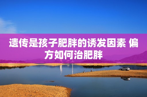遗传是孩子肥胖的诱发因素 偏方如何治肥胖