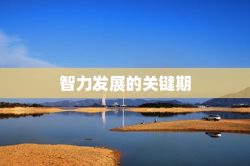 智力发展的关键期