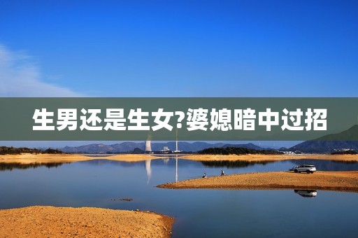 生男还是生女?婆媳暗中过招