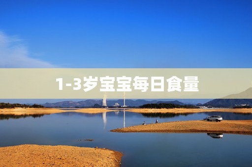 1-3岁宝宝每日食量