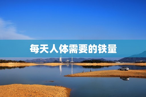 每天人体需要的铁量
