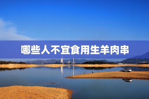 哪些人不宜食用生羊肉串