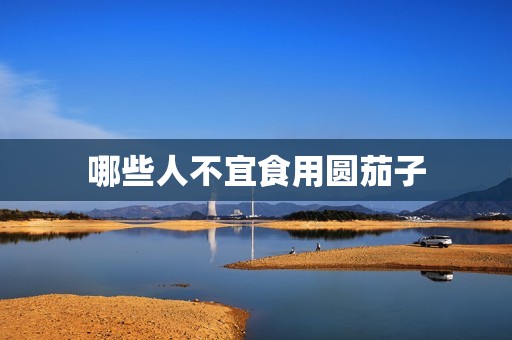 哪些人不宜食用圆茄子