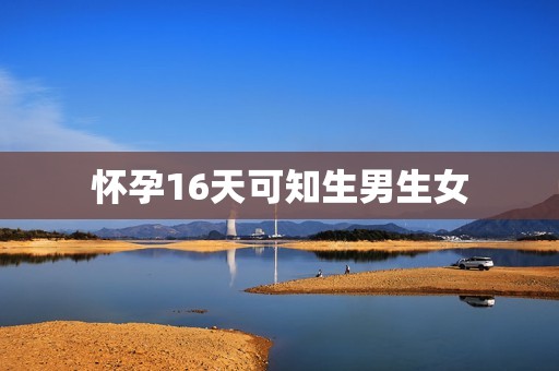 怀孕16天可知生男生女