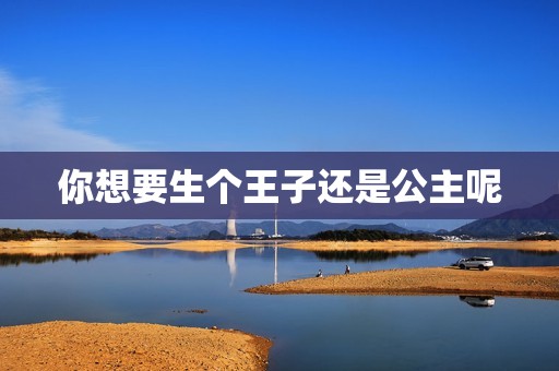 你想要生个王子还是公主呢