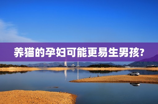 养猫的孕妇可能更易生男孩?