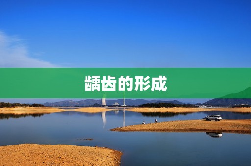 龋齿的形成