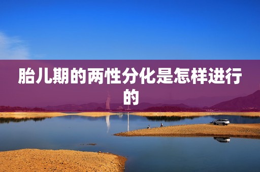 胎儿期的两性分化是怎样进行的