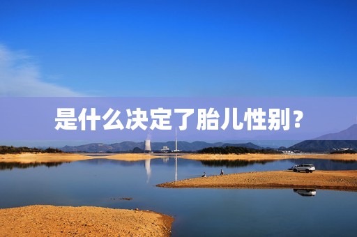 是什么决定了胎儿性别？