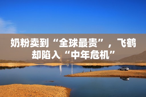 详细阅读:奶粉卖到“全球最贵”,飞鹤却陷入“中年危机” 奶粉卖到“全球最贵”,飞鹤却陷入“中年危机”