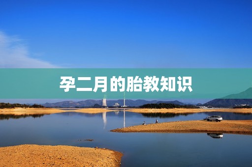 孕二月的胎教知识