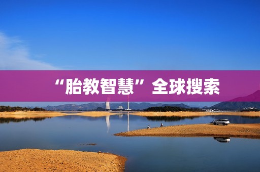 “胎教智慧”全球搜索