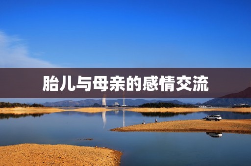 胎儿与母亲的感情交流