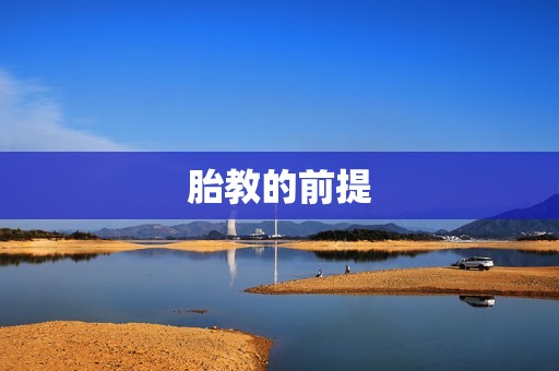胎教的前提