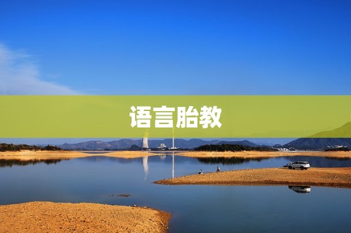 语言胎教