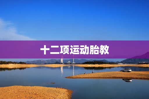 十二项运动胎教
