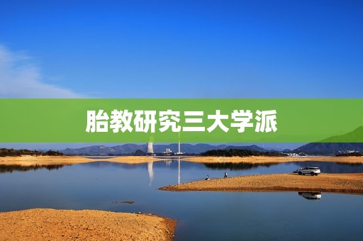 胎教研究三大学派