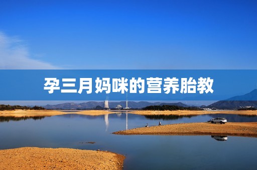 孕三月妈咪的营养胎教