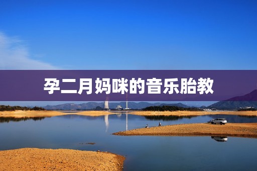 孕二月妈咪的音乐胎教
