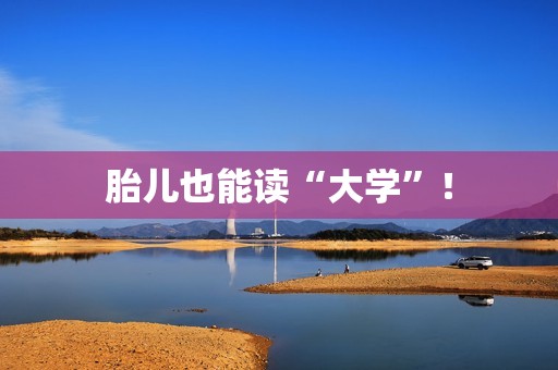 胎儿也能读“大学”！