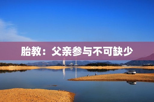胎教：父亲参与不可缺少