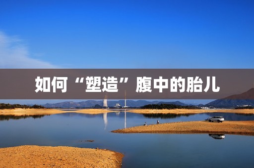 如何“塑造”腹中的胎儿
