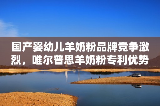 国产婴幼儿羊奶粉品牌竞争激烈，唯尔普思羊奶粉专利优势明显