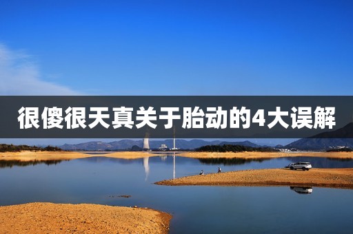 很傻很天真关于胎动的4大误解