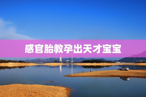 感官胎教孕出天才宝宝