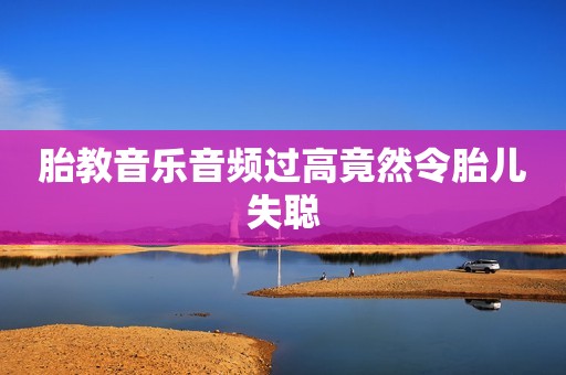 胎教音乐音频过高竟然令胎儿失聪