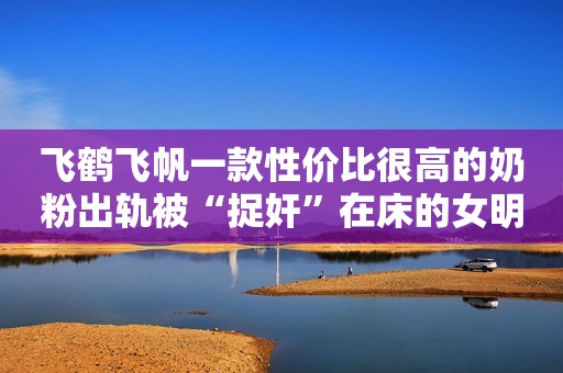 飞鹤飞帆一款性价比很高的奶粉出轨被“捉奸”在床的女明星，因出轨有被丈夫毒打的，看看都是谁